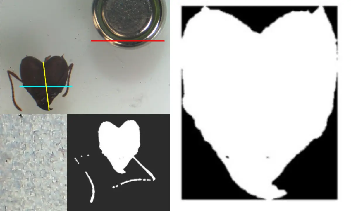 Entomologia Digital: Monitoramento de Formigas Saúvas