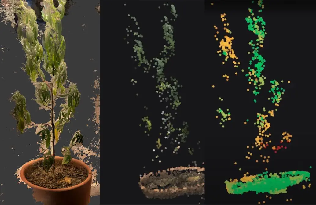 Proseed Phenotyping: Visão Computacional para Cultivo